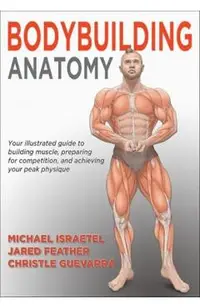 Bodybuilding Anatomy