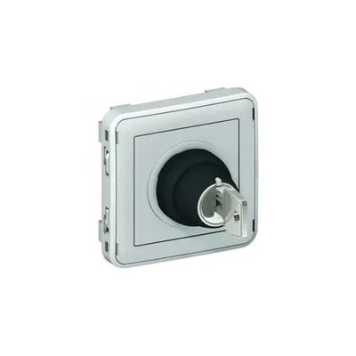 Key operated switch Plexo IP55 - 3 A 250 V~-2 positions ''O-I''-modular-gri