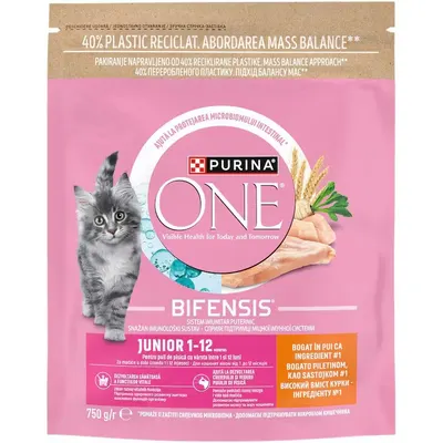 PURINA ONE Junior, Pui si Cereale Integrale, hrana uscata pisici junior, 750 g