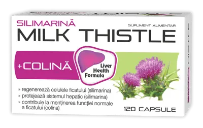 Silimarina Milk Thistle + Colina, 120 capsule, Zdrovit