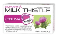 Silimarina Milk Thistle + Colina, 120 capsule, Zdrovit