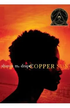 Copper Sun