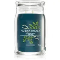 Yankee Candle Bayside Cedar lumânare parfumată Signature 567 g