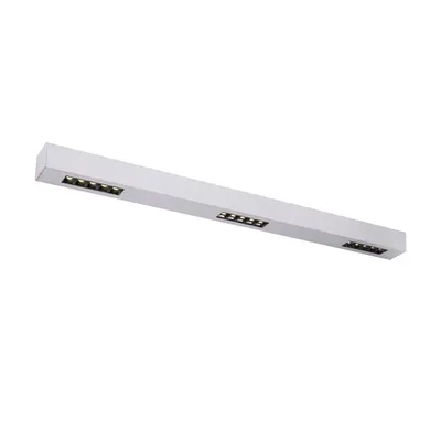 Corp iluminat TAVAN, Q-LINE ® de Luminita TAVAN, cu LED-uri de culoare GRI Montat pe suprafata INTERIOARa lumenul Plafon, 1m, BAP, Argintului, 4000K
