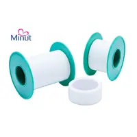 Leucoplast hartie 2,5CM X 5M, Minut