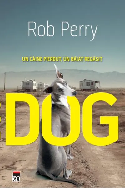 Dog - Paperback brosat