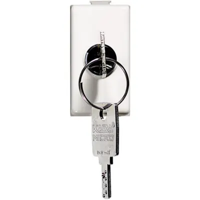 matix - Intrerupator 2 module 16A cheie