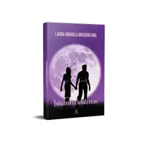 Întâlniri clandestine - Paperback - Laura Mihaela Brașoveanu
