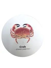 Suport pentru pahar - Ecologie Multi Fish Lobster
