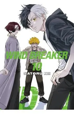 Wind Breaker 10