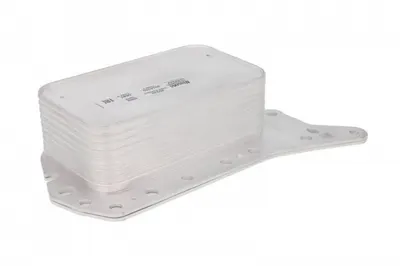 Termoflot Radiator Ulei Nissan Qashqai I, Qashqai Ii, X-Trail; Renault Espace V, Fluence, Grand Scenic Iii, Grand Scenic Iv, Kadjar, Koleos Ii, Megane Cc, Megane Iii, Megane Iv, Scenic Iii 1.6d Dupa 2