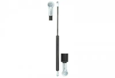 Amortizor haion (505) potrivit MASSEY FERGUSON 2000 01.80-12.12