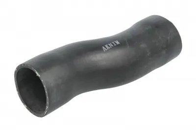Furtun radiator ( 55mm, lumgime: 200mm) potrivit SCANIA G II, L, P II, R II, S DC07.108-OC13.101 09.16
