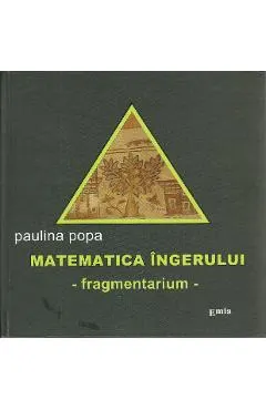 Matematica ingerului