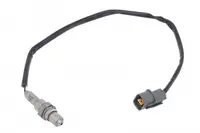 Sonda Lambda (numar fire 4, 554mm) potrivit HYUNDAI I30; KIA CEED, PROCEED, XCEED 1.4 1.6D 1.6DH 11.16-