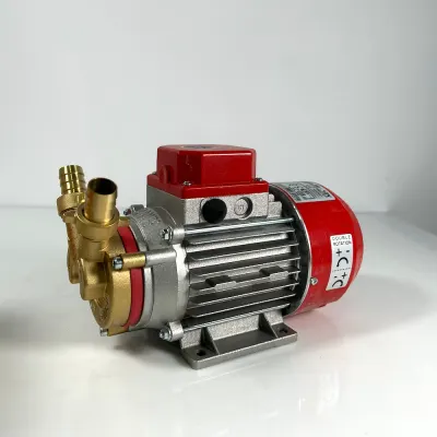 Electropompa Marina 25, 24V, Rover Pompe, pentru transvazare vin si lichide alimentare, se poate conecta la baterie auto - Default Title
