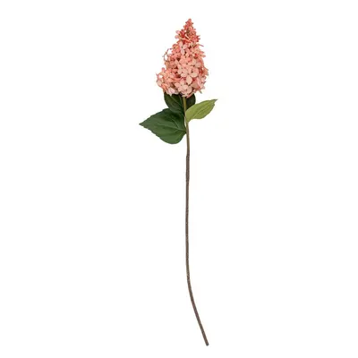 Plantă artificială (înălțime 76 cm) Hydrangea – Bloomingville
