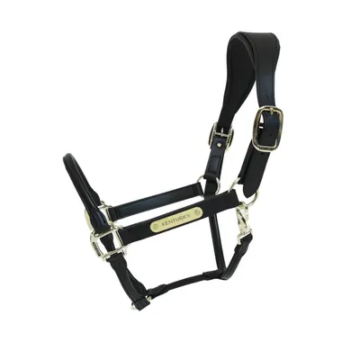 Kentucky Anatomische Leder Halster Zwart