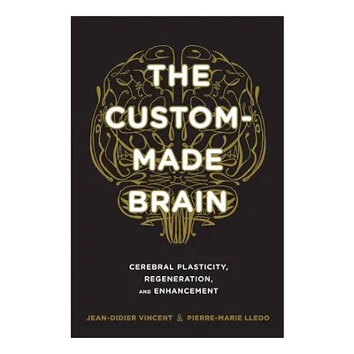 The Custommade Brain Cerebral Plasticity Regeneration And Enhancement