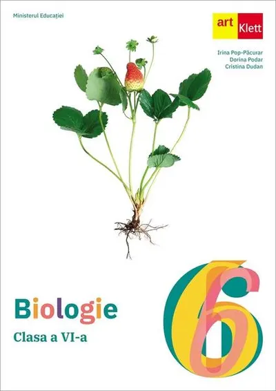 Biologie. Clasa a VI-a. Manual - Paperback brosat