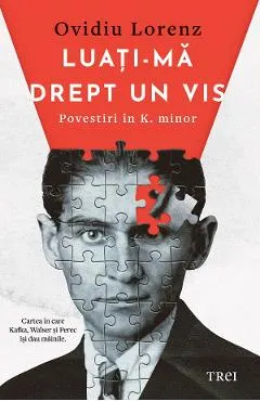eBook Luati-ma drept un vis. Povestiri in K. minor