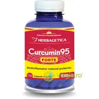 Curcumin95 Forte 120cps