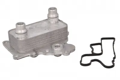 Radiator Ulei Potrivit Alfa Romeo Giulietta; Fiat 500l, 500x, Bravo Ii, Doblo, Doblo Cargo, Tipo; Jeep Renegade; Opel Combo Tour, Combo Minivan 1.6d 09.07