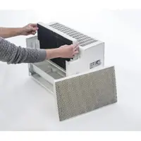 Filtru antibacterian de schimb Woods pentru HSW100