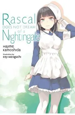 Rascal Does Not Dream of a Nightingale (Light Novel)