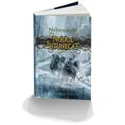 Nethergrim. Nodul intunecat - cartea a treia