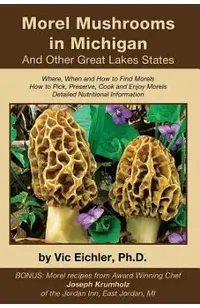 Morel Mushrooms in Michigan And Other Great Lakes States