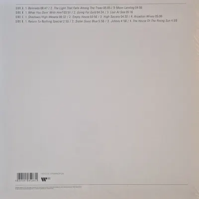 Moon Landing - Vinyl