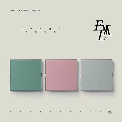 Mini Album Vol. 10 - FML. Random 3 cover version