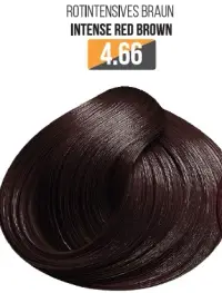 Vopsea Profesionala Fara Amoniac EVOQUE USA, Nuanta 4.66 INTENSE RED BROWN - Cu Ulei de Argan si 12 Aminoacizi, 100 ml - E