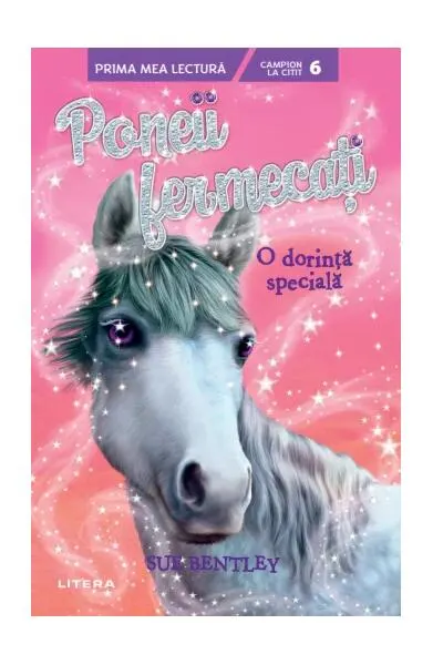 O dorință specială (Vol. 2) - Paperback brosat - Sue Bentley
