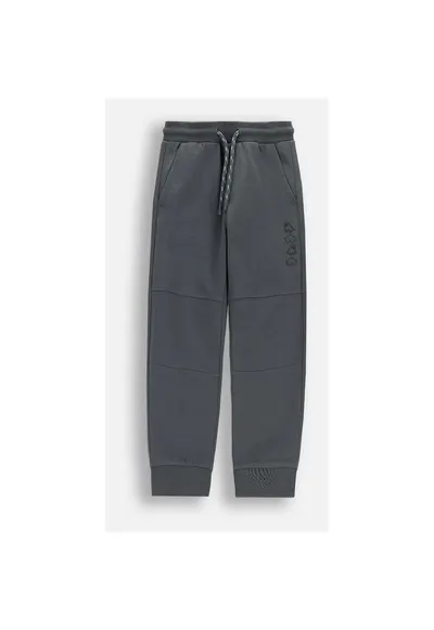 Pantaloni grafit - motiv dinozauridwqfwq - Gri grafit