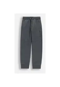 Pantaloni grafit - motiv dinozauridwqfwq - Gri grafit