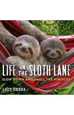 Life In The Sloth Lane