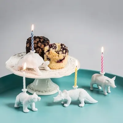 Suport pentru lumanare - Happy Zoo Day, Moa