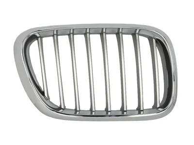 Grila radiator Dreapta potrivit BMW X5 (E53) 3.0-4.6 2000-2006 pana in 2003 - (titan)