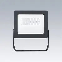 PRE Thorn Eco 96635663 Leonie Vario FLEX Floodlight 2000lm 3000-3500-4000K IP65