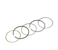 Set segmenti Piston Cross 250CC, 72MM