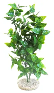 Sydeco Planta Heart-Shaped Leaves 32 cm 380342