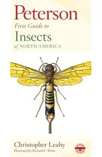 Peterson First Guide to Insects