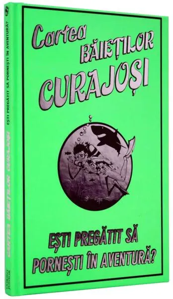 Cartea băieților curajoși - Hardcover - Steve J. Martin