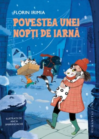 Povestea unei nopti de iarna