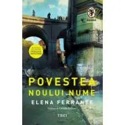 Povestea noului nume. Tetralogia Napolitana, volumul 2
