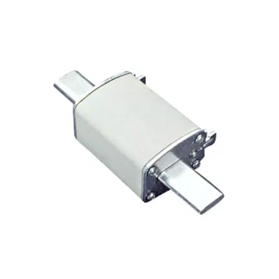 Siguranţă fuzibila NH1 gG 690V AC 160A