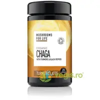 Chaga Turmeric Latte Pure Grade Extract Ecologic/Bio 120g