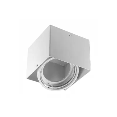 Lampa tavan - Ceiling light fixture PIREO N surface mounted, single, IP20, white/white